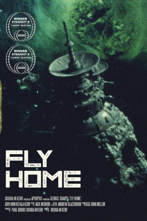 Fly Home (2021) poster