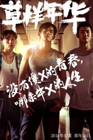 草样年华 (2020) poster