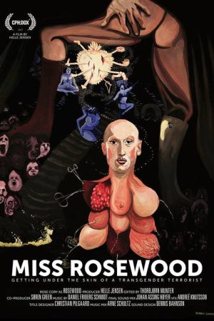Miss Rosewood (2017) poster