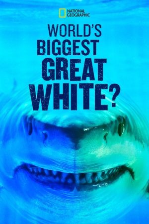 World’s Biggest Great White? (2019) poster