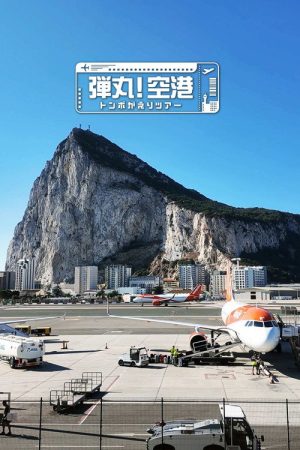 弾丸！空港トンボがえりツアー (2025) poster