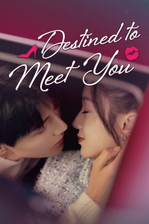 Destined to Meet You (2022) poster