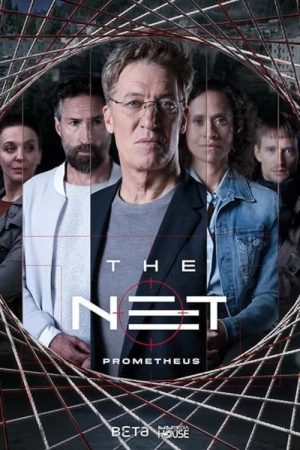 The Net poster