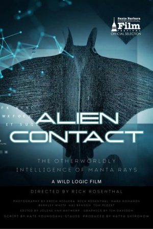 Alien Contact (2024) poster