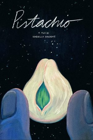 Pistachio (2021) poster