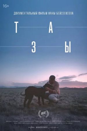 Тазы (2026) poster