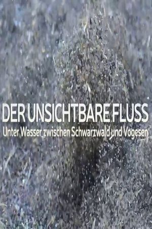 Un fleuve invisible (2019) poster