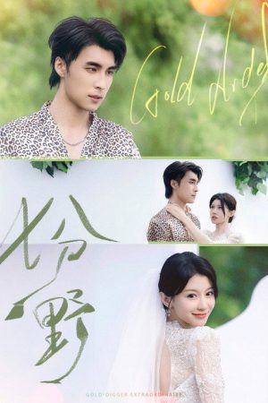 七分野 (2025) poster