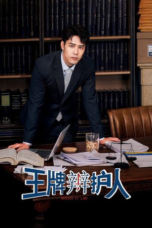 Wacko At Law (2020) poster