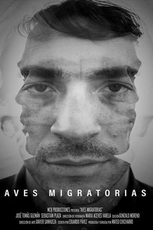 Migratory Birds (2018) poster