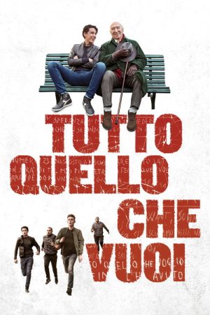Everything You Want (2017) poster