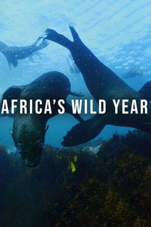Africa’s Wild Year (2021) poster
