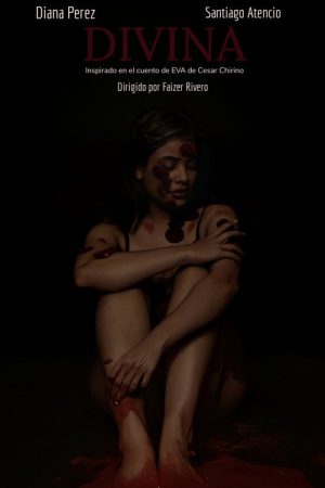 Divina (2024) poster