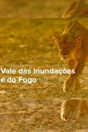 Vale do Dilúvio e do Fogo (2020) poster