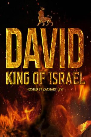 David: King of Israel (2026) poster