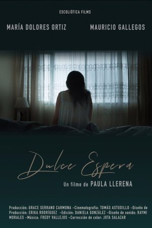 Dulce espera (2018) poster