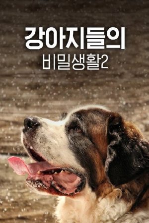 강아지들의 비밀 생활2 (2017) poster