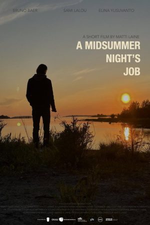 A Midsummer Night’s Job (2024) poster