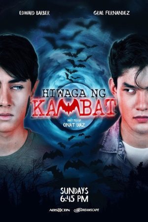 Mystery of the Twin Bat (2019) poster