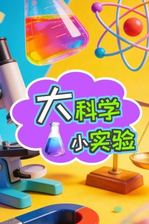 大科学小实验 (2026) poster