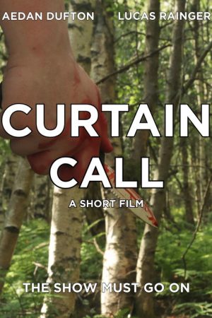 Curtain Call (2025) poster