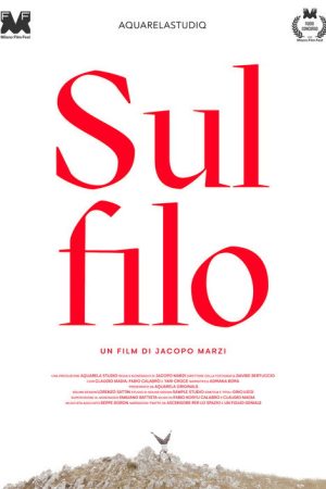 Sul filo (2026) poster