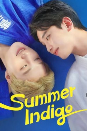 Summer Indigo (2025) poster