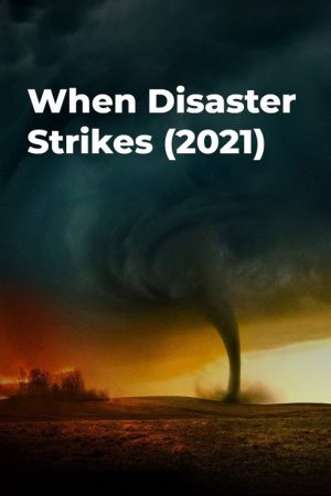 When Disaster Strikes (2021) poster