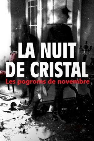 La Nuit de cristal : Les pogroms de novembre (2025) poster