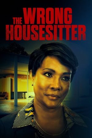 The Wrong House Sitter (2020) poster
