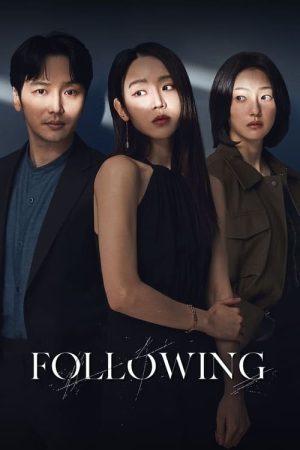 Following (2024) poster