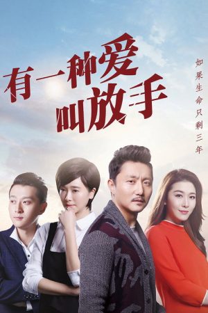 有一种爱叫放手 (2016) poster