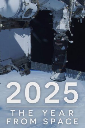 2025: The Year from Space (2026) poster