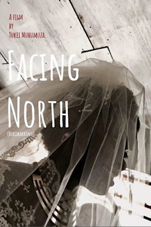 Facing North (2018) poster