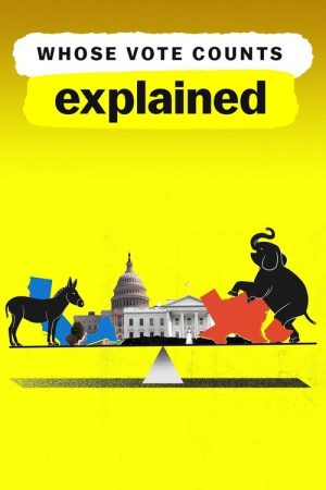 Whose Vote Counts, Explained (2020) poster