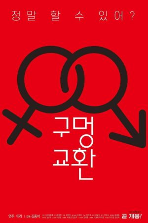 Hole Exchange (2020) poster