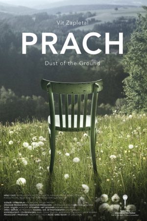 Dust of the Ground (2016) poster
