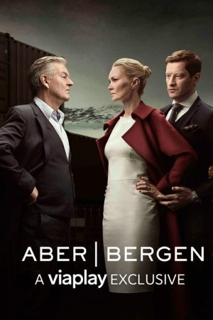 Aber Bergen (2016) poster