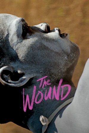 The Wound (2017) poster