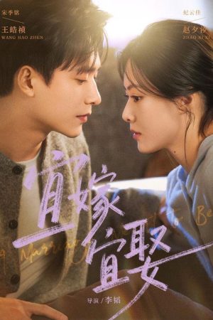 宜嫁宜娶 (2026) poster