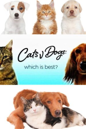 Cats v Dogs: Which is Best? (2016) poster