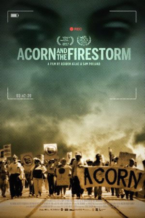 Acorn and the Firestorm (2017) poster