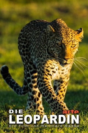 The Leopardess (2020) poster