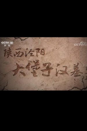 陕西泾阳大堡子汉墓 (2022) poster