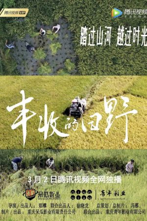 丰收的田野 (2022) poster