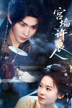 宫墙许良人 (2026) poster