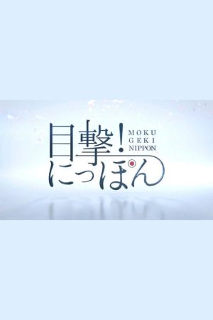 目撃!にっぽん (2019) poster