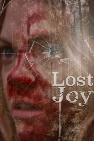 Lost Joy (2025) poster