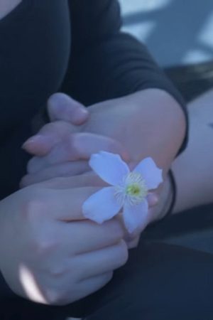 Pushing Daisies (2018) poster