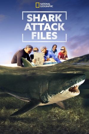 Shark Attack Files (2021) poster